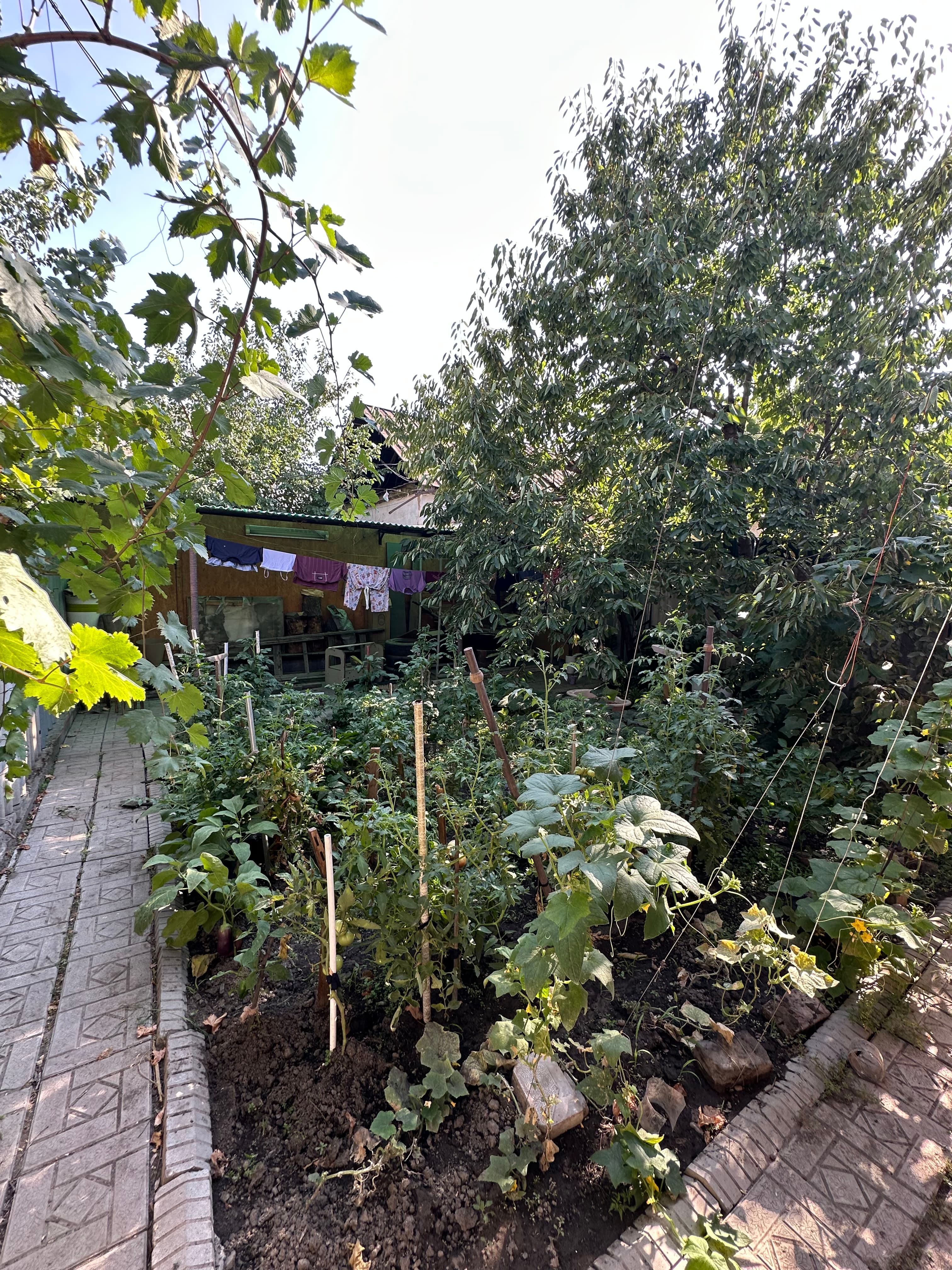Property 93759 - Image 3