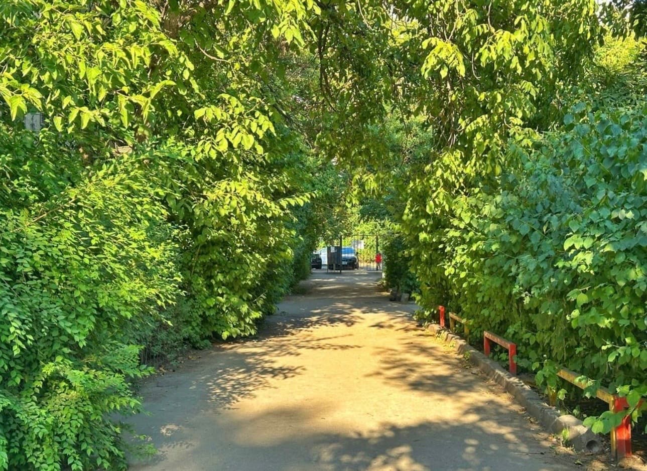 Property 98787 - Image 3